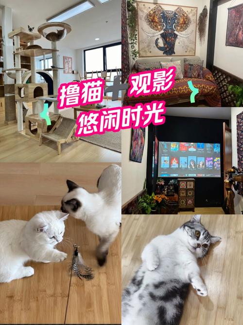 超碰少妇av的相关介绍