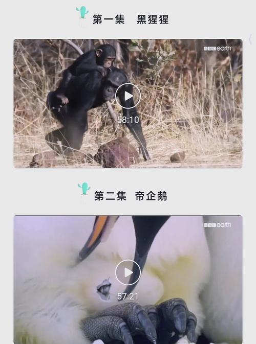 王朝影院在线播放-高清无广告流畅观影体验,最新热门影视剧免费在线看