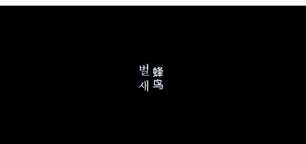 操 白丝美女的相关介绍