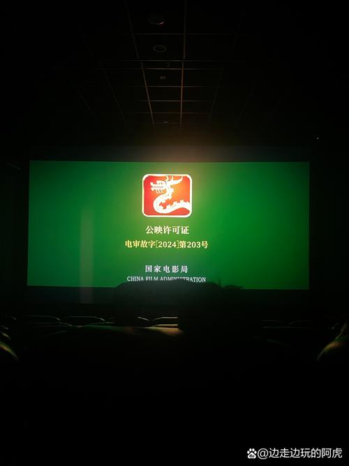 老司机影院视频的相关介绍
