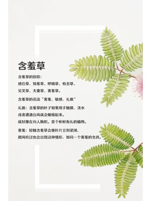 人妻少妇15p的相关介绍