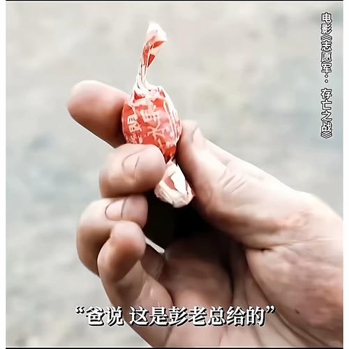 ooxx影院的相关介绍