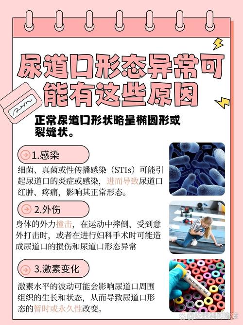 本色快播影院电影的相关介绍