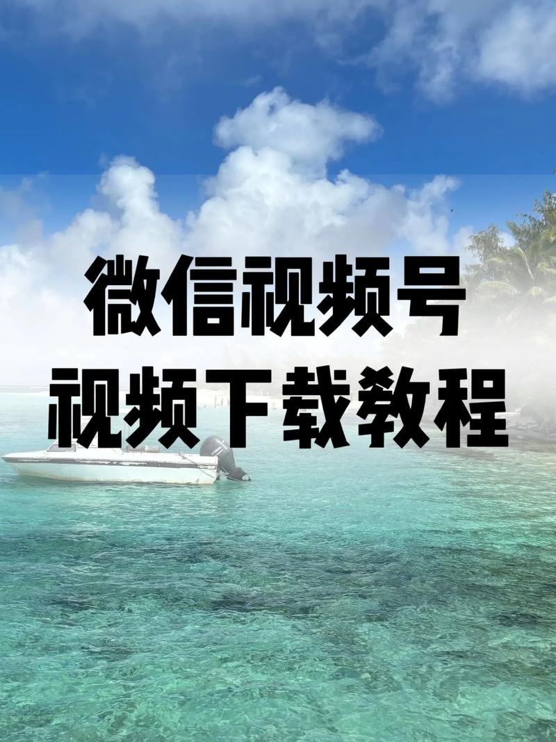 1号影院韩的相关介绍