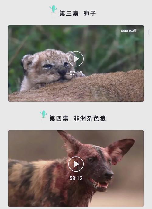 人妻爽文的相关介绍