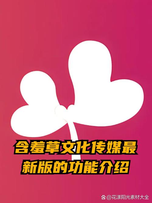 x视频app下载的相关介绍