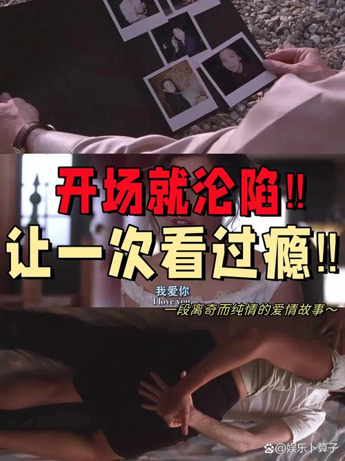少妇av大片一区二区三区的相关介绍