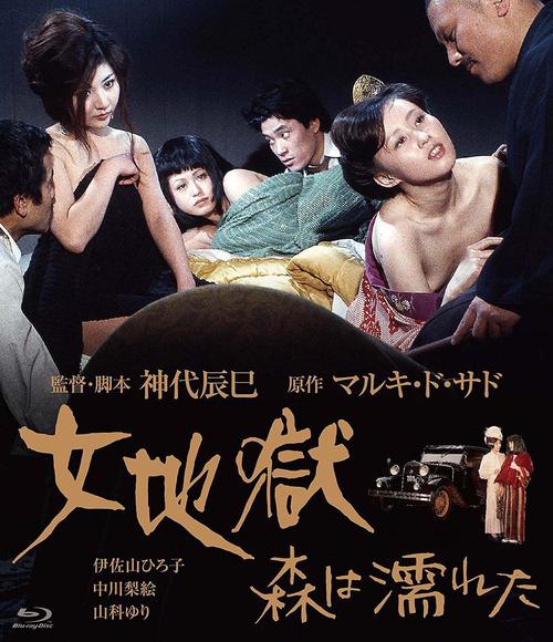 511电影院的相关介绍