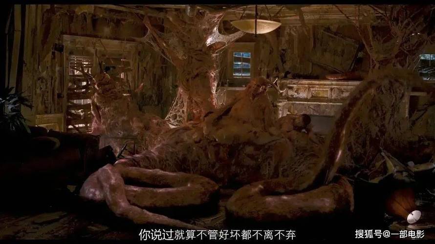 欧美一区二区久久久的相关介绍