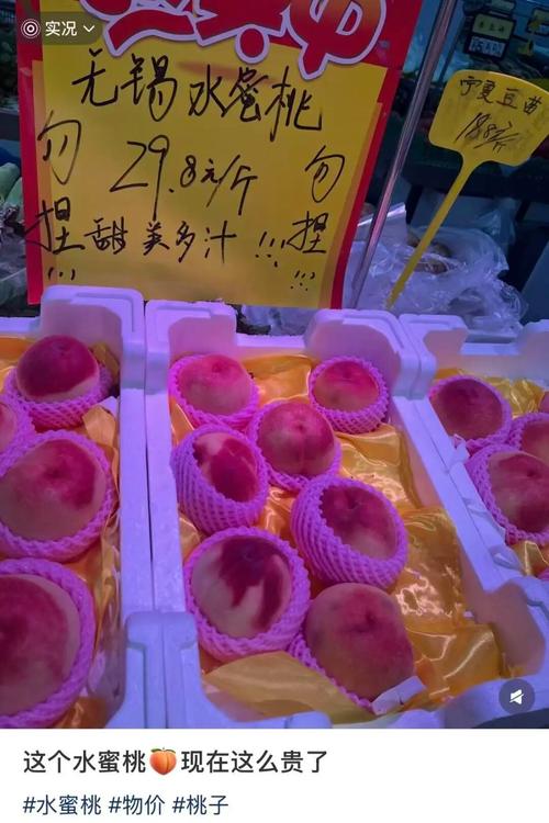全能影院免费的的相关介绍