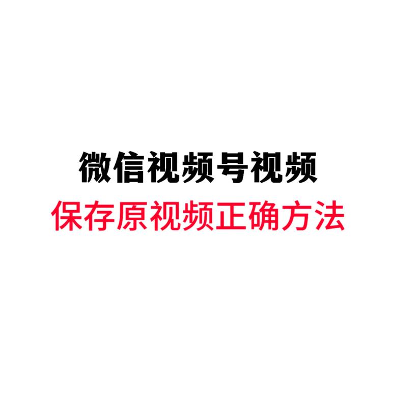 97影院手机版962在线观看 - 高清免费影视平台962版资源