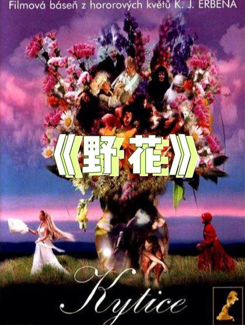 水仙福利视频神马影院的相关介绍