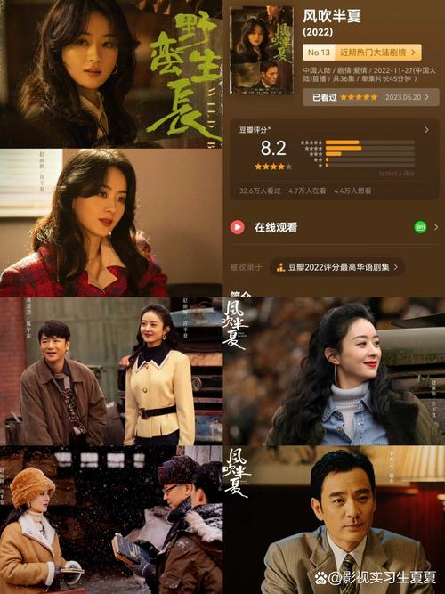 人妻绿帽 (高h文)的相关介绍