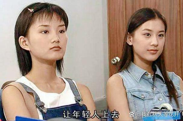 日本波野的相关介绍