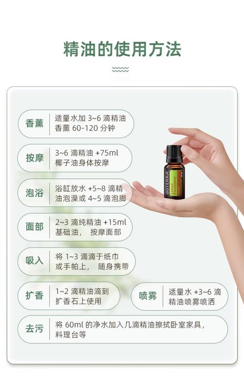 老湿影院视费动漫的相关介绍