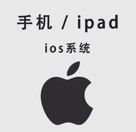 久久久久久久久精品久小说的相关介绍