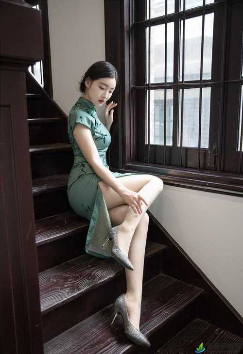 亚洲少妇一区二区的相关介绍
