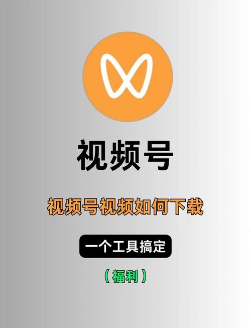 和平电影院的相关介绍