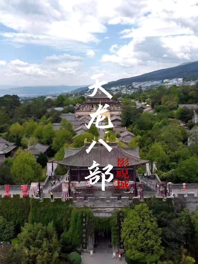 龙港电影院的相关介绍