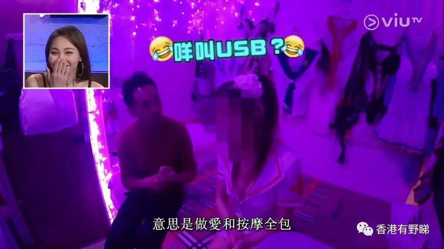 辣文凌辱的相关介绍