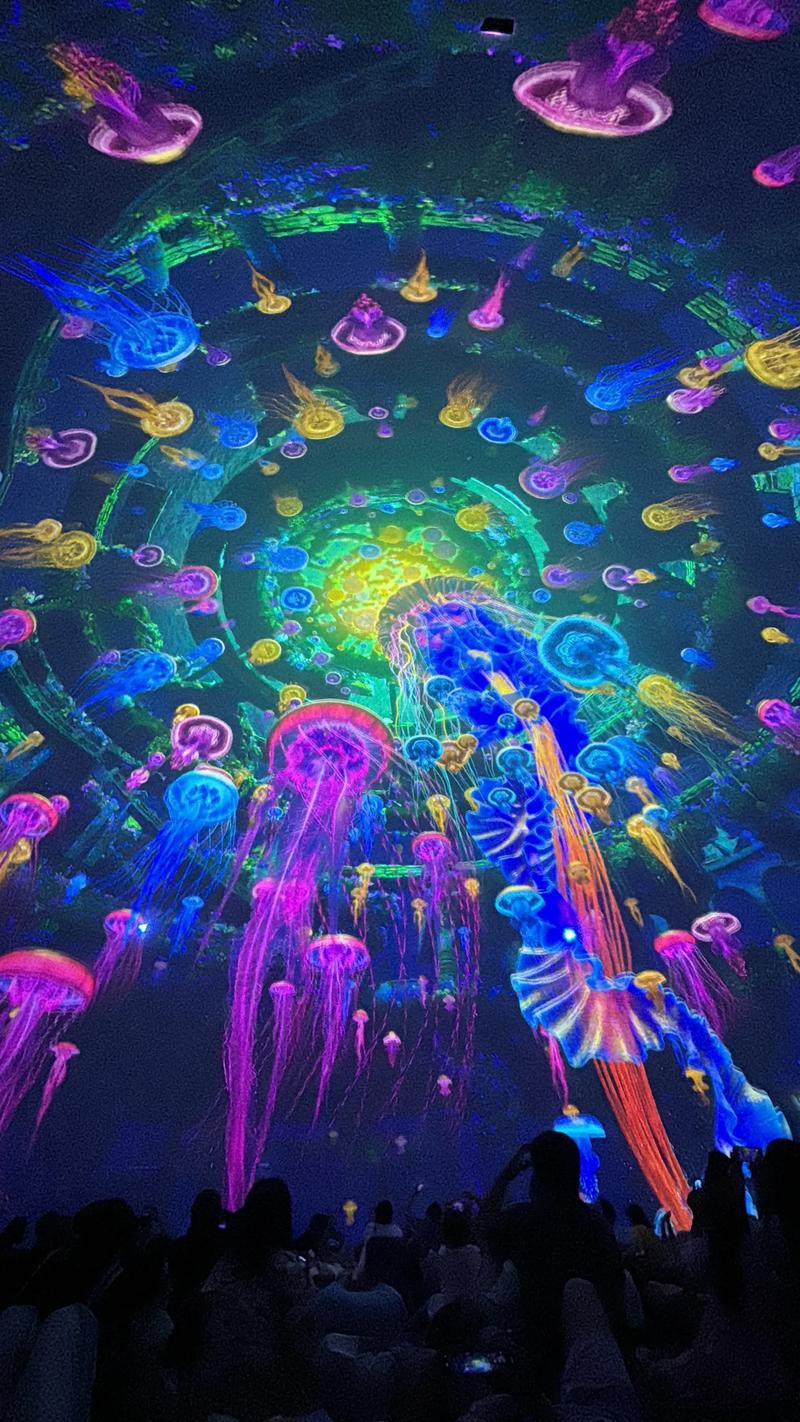 大尺度写真欧美的相关介绍