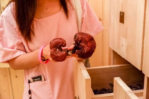 午间影院的相关介绍
