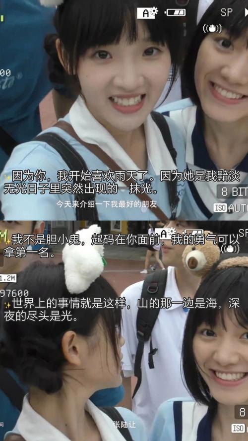 策驰影院 网站的相关介绍