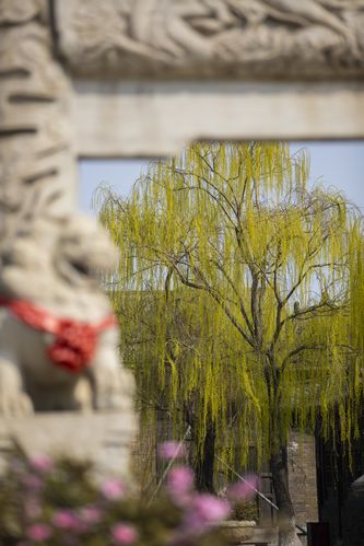 淘剧影院觉醒年代的相关介绍