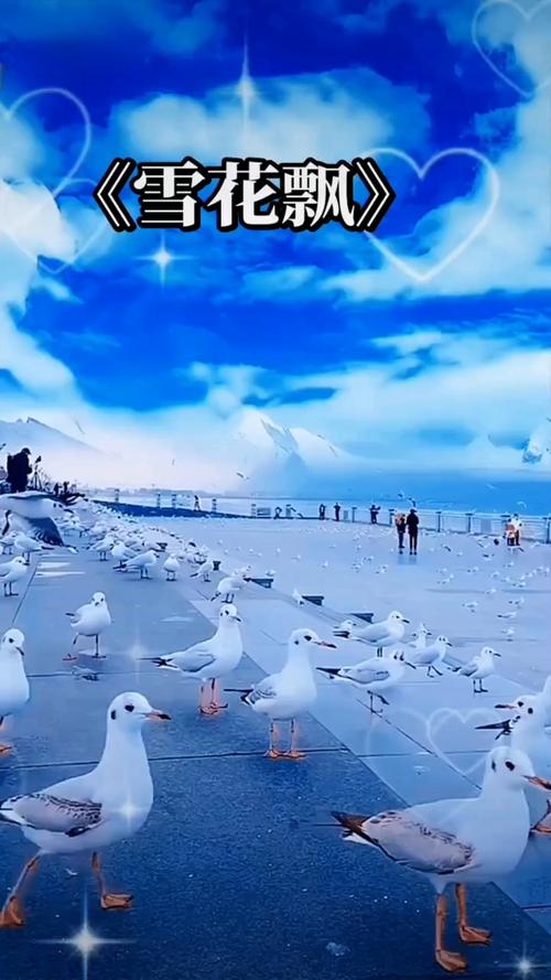 先锋影院新骑兵先锋的相关介绍