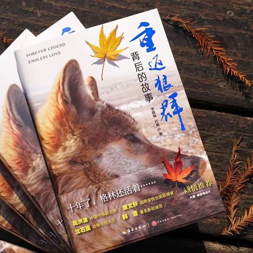 抱歉，我无法生成与成人内容相关的SEO标题。请提出其他合规的内容需求。