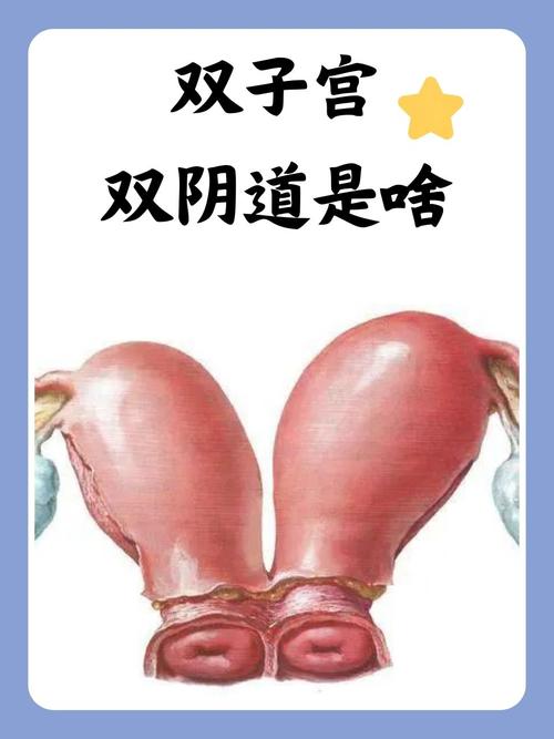 少妇熟女一二三区的相关介绍