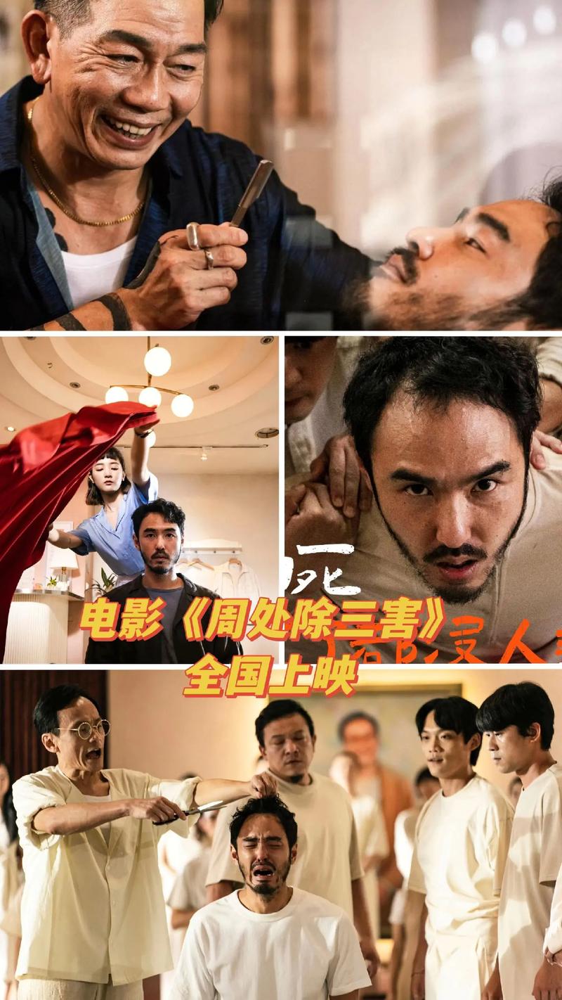 毛片哪里可以看的相关介绍