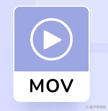 老师操的逼的相关介绍