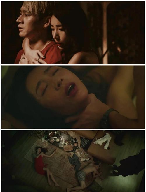 琪琪影院在线看2017 - 最新热播电影电视剧免费在线观看,高清资源无广告