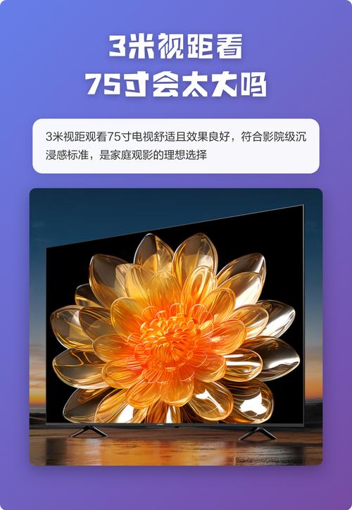 月光影院在线观看免费版高清的相关介绍