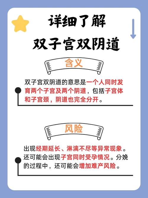 欧美熟妇momssons的相关介绍