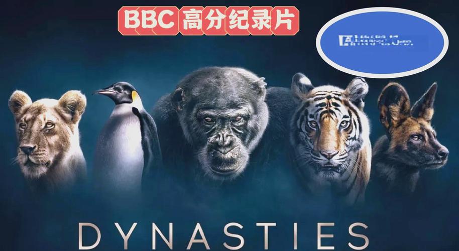 王朝影院在线播放-高清无广告流畅观影体验,最新热门影视剧免费在线看