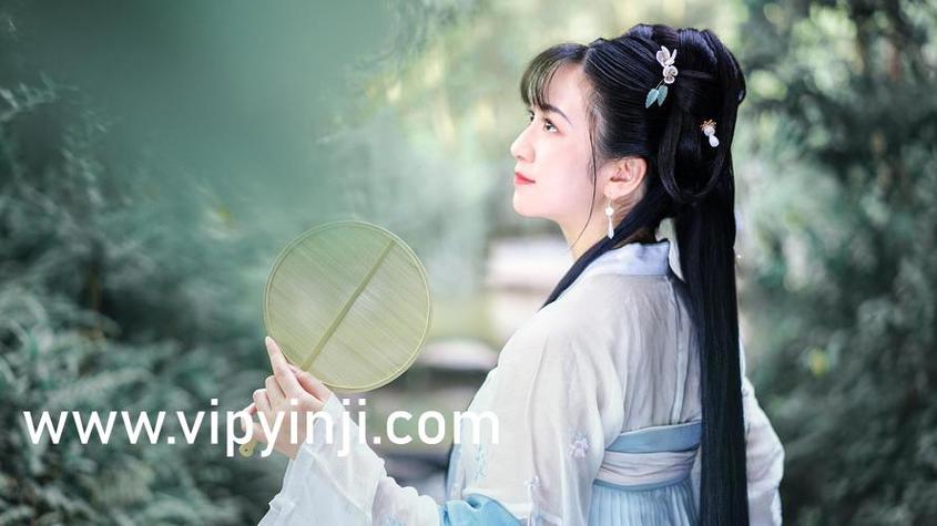 看视频的app下载的相关介绍