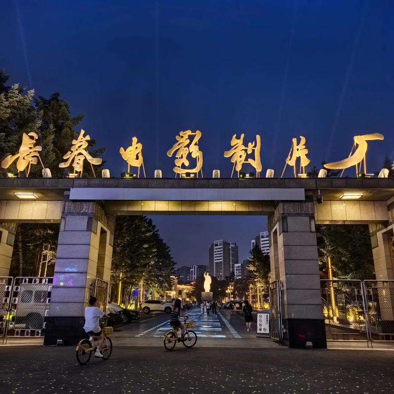 久久久久精品久的相关介绍