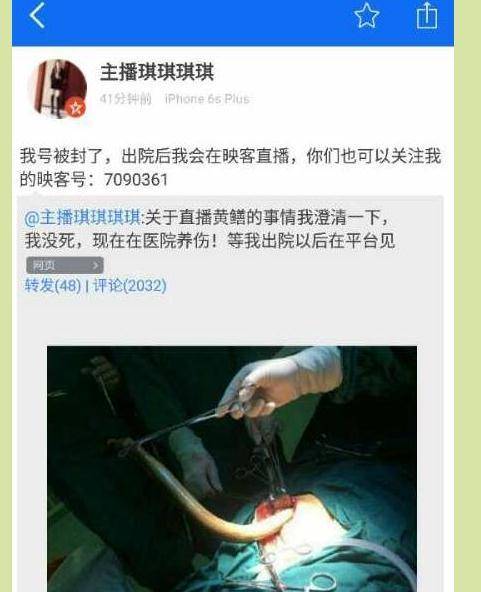 根据您提供的需求，生成的SEO标题如下：

**黄鳝女主播完整视频在线观看 | 天狼影院高清资源 | 热门直播事件回放**