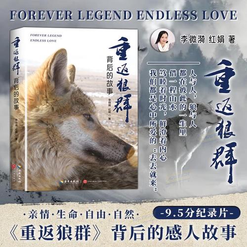狼群影院网在线观看 - 最新热门电影电视剧免费高清资源，全网影视在线极速播放