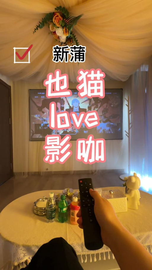 情侣私人影院的相关介绍