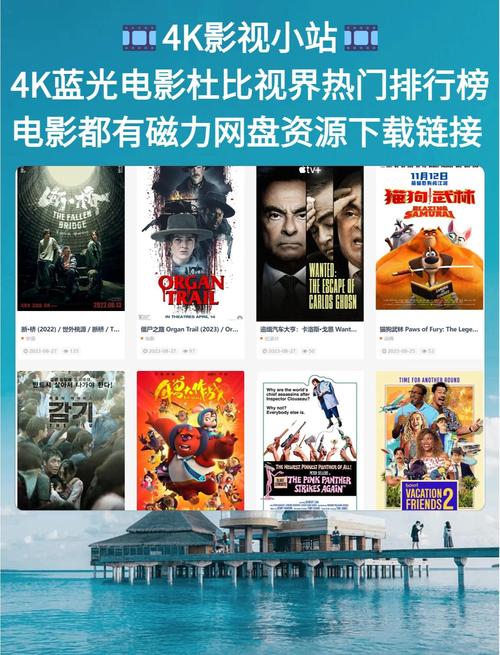 根据六度电影院网的用户偏好与影视搜索习惯，为您生成以下SEO标题：

**六度电影院网 - 最新热门电影在线观看与高清影视推荐，免费追剧首选平台（海量资源/无广告/每日更新）**

**包含的长尾关键词：**
1. 最新热门电影在线观看
2. 高清影视推荐
3. 免费追剧首选平台