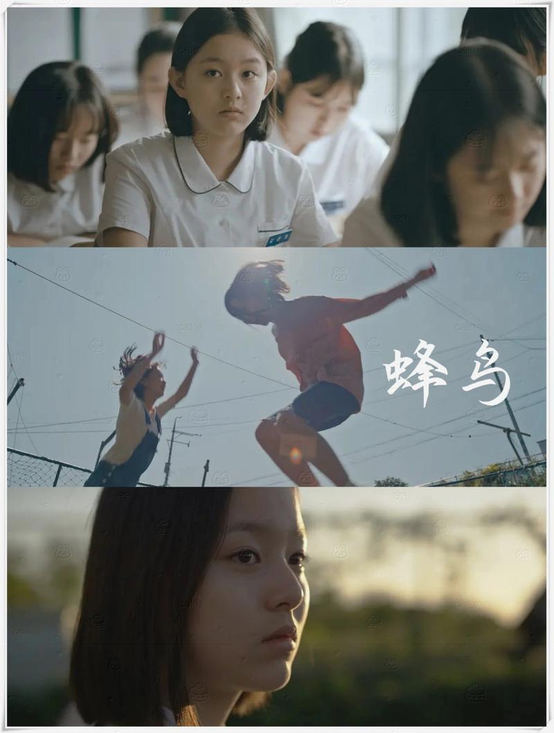 风骚少妇一二区的相关介绍