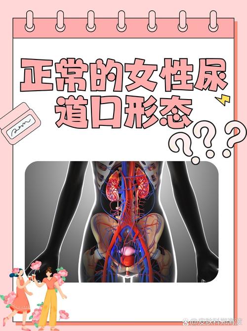 上面一边摸下面一边亲的相关介绍