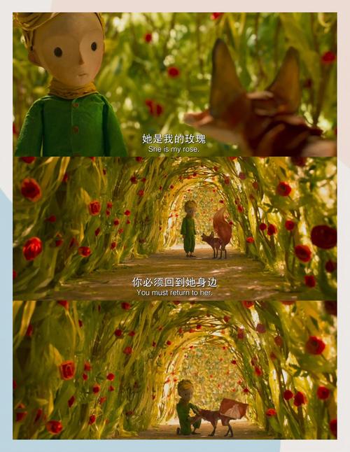 王子免费影院 - 在线观看全网高清影视资源，免费追剧不卡顿